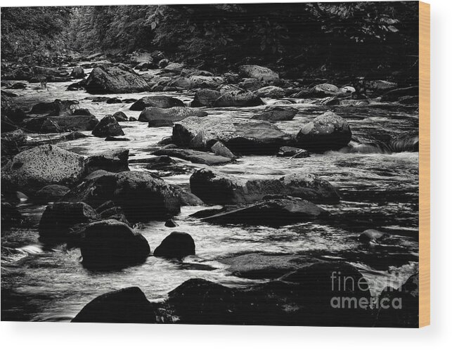 Little River Wood Print featuring the photograph Black and White Little River 4 by Phil Perkins