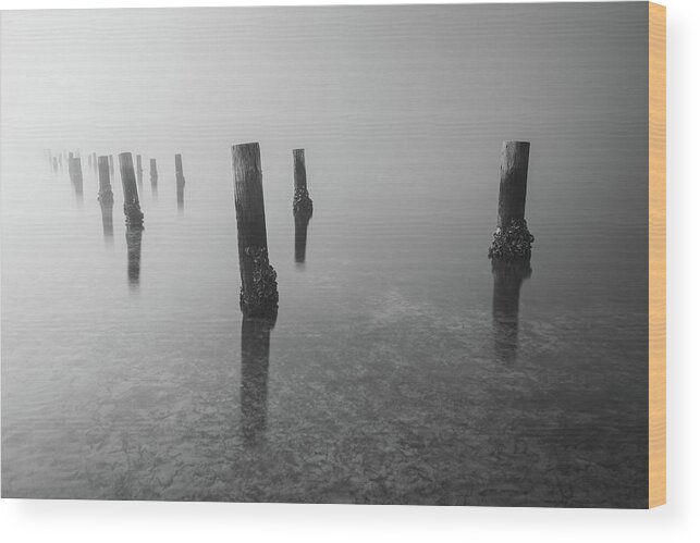 Black And White Wood Print featuring the photograph Black And White Pier Gulf Islands National Seashore Florida by Jordan Hill