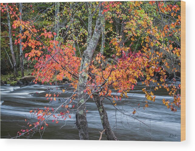 Blackstone River Wood Print featuring the photograph Blackstone River LVI Color by David Gordon