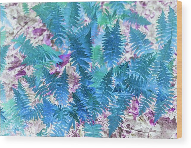 Plants Wood Print featuring the photograph Blue Ferns by Missy Joy