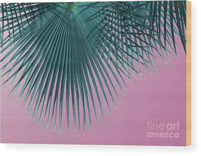 Palm Leaf Wood Print featuring the photograph Blue-green palm leaf and pink sky, summer season by Adriana Mueller