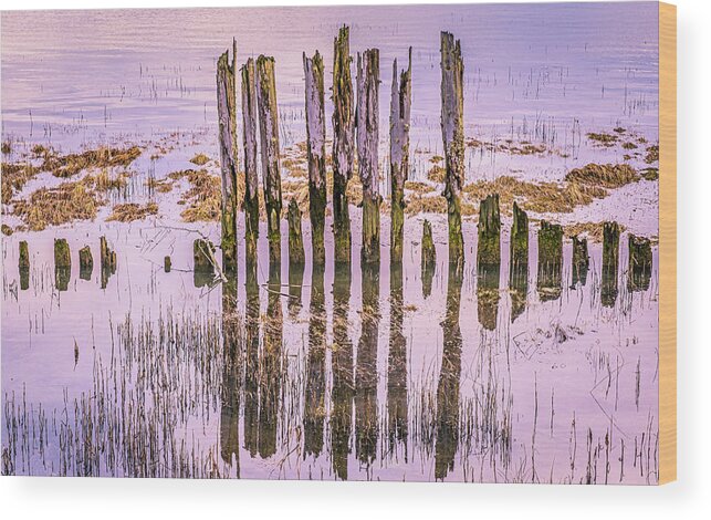 Blue Wood Print featuring the photograph Blue 'n Gold by Tony Locke