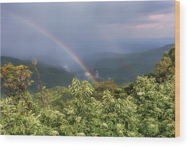 Rainbow Wood Print featuring the photograph Bluff Mountain Double Rainbow - Blue Ridge Mountains by Susan Rissi Tregoning