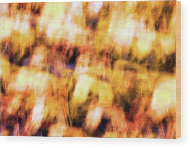  Wood Print featuring the photograph Blur Abstract - 002 by Cora Wandel