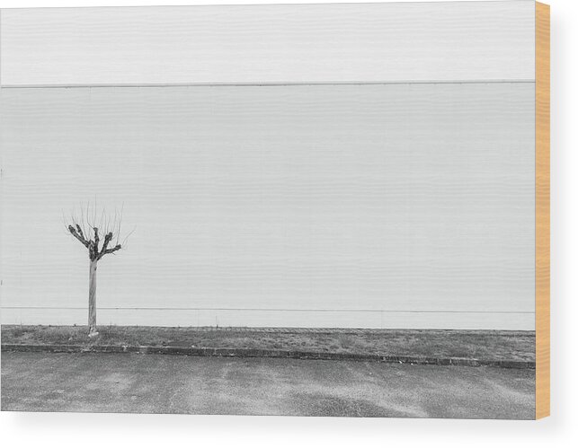 New Topographics Wood Print featuring the photograph Bordeaux Tree BW by Stuart Allen