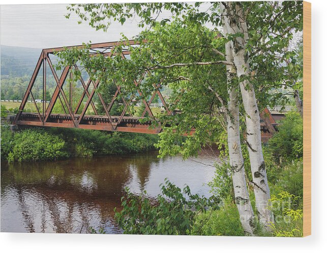Birch Tree Wood Print featuring the photograph Boston and Maine Railroad - Bretton Woods New Hampshire USA by Erin Paul Donovan