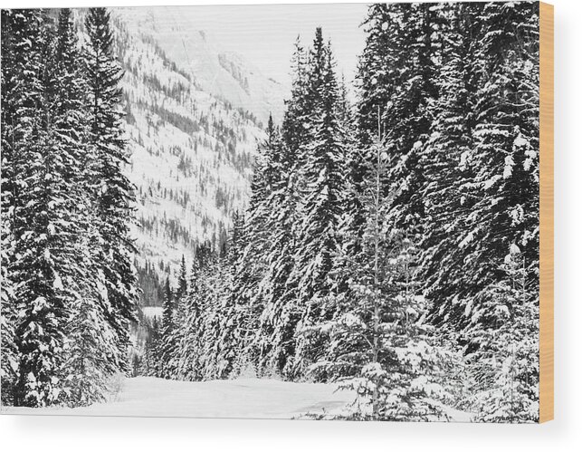 Rocky Mountains Wood Print featuring the photograph Bow Valley Parkway in Winter by Wilko van de Kamp Fine Photo Art