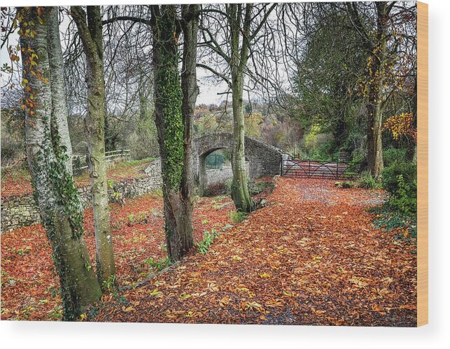  Wood Print featuring the photograph Autumn Colours Ireland #1 by Sublime Ireland
