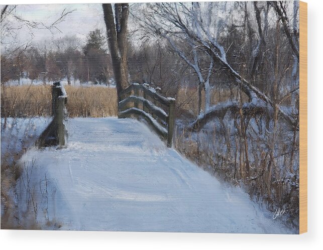 Minneapolis Wood Print featuring the digital art Bridge at Lake Nokomis by Glenn Galen
