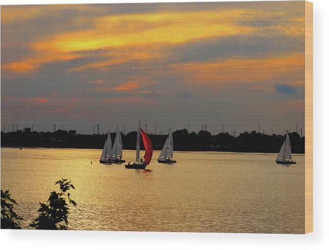 Sailboats Wood Print featuring the photograph Bright Sails at Sunset by Linda Stern