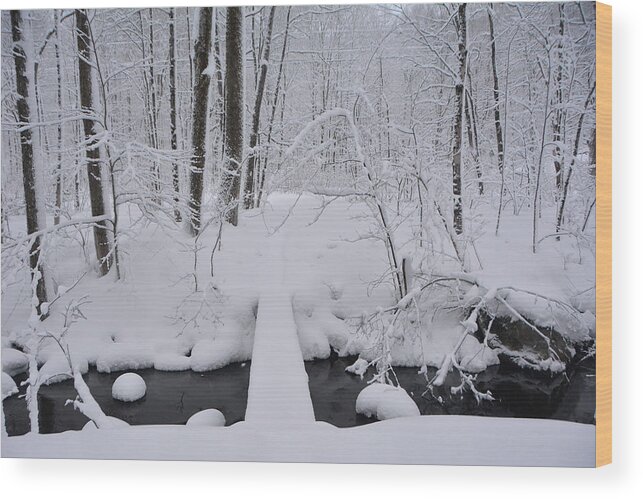 Bromley Brook With Snow Wood Print featuring the photograph Bromley Brook with Snow 3 by Raymond Salani III