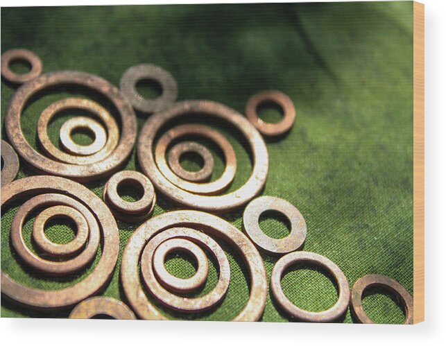 Washers Wood Print featuring the photograph Bronze Washers on Green Fabric by W Craig Photography