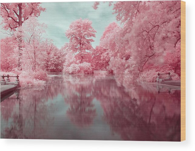 Pink Wood Print featuring the photograph Brooklyn's Prospect Park in Pink Infrared by Auden Johnson
