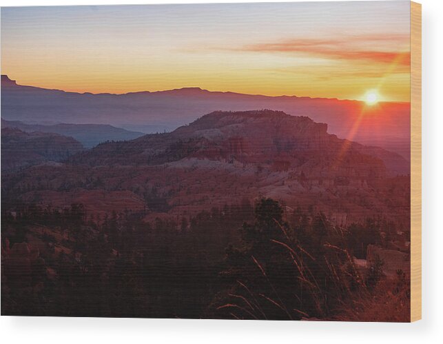Bryce Cannon National Park At Sunrise Wood Print featuring the photograph Bryce At Sunrise by Nathan Wasylewski