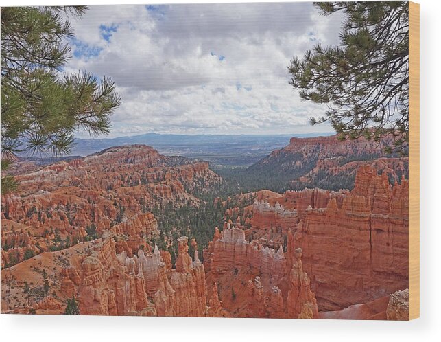 Bryce Canyon National Park Wood Print featuring the photograph Bryce Canyon National Park - Panorama with Branches by Yvonne Jasinski