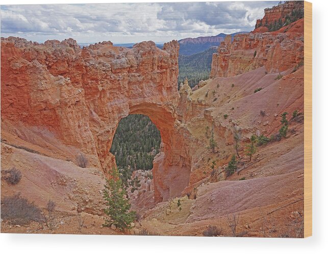 Bryce Canyon National Park Wood Print featuring the photograph Bryce Canyon National Park - Window by Yvonne Jasinski