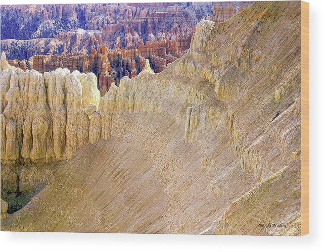 Usa Wood Print featuring the photograph Bryce Canyon Slide by Randy Bradley