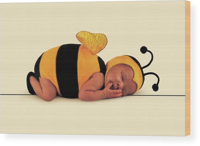 Bee Wood Print featuring the photograph Bumblebee #6 by Anne Geddes