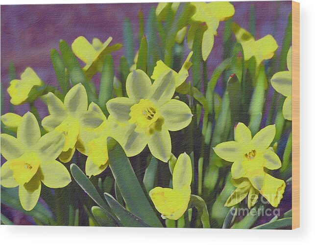 Spring Wood Print featuring the photograph Bunch of Daffodils by Bentley Davis
