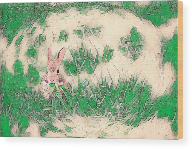 Rabbit Wood Print featuring the photograph Bunny Eating Green by Diane Lindon Coy