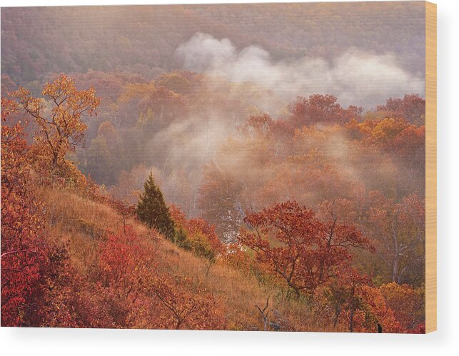 Mist Wood Print featuring the photograph Burnt MIll Cave Conservation Area in Missouri by Robert Charity