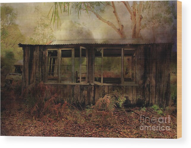 Building Wood Print featuring the photograph Burnt Out by Elaine Teague