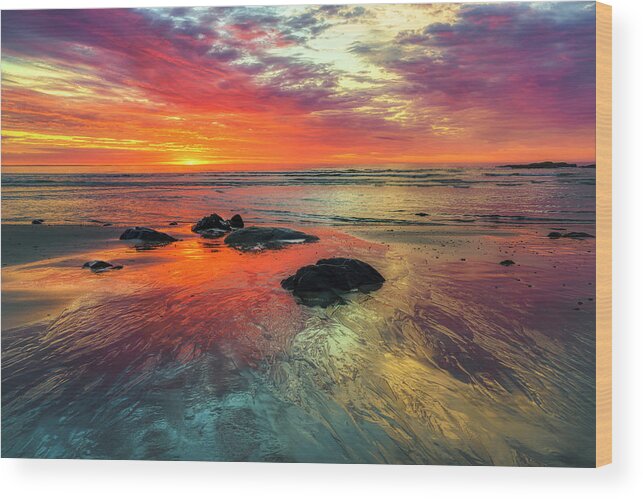 Ogunquit Wood Print featuring the photograph Burst of Color on Marginal Way by Penny Polakoff