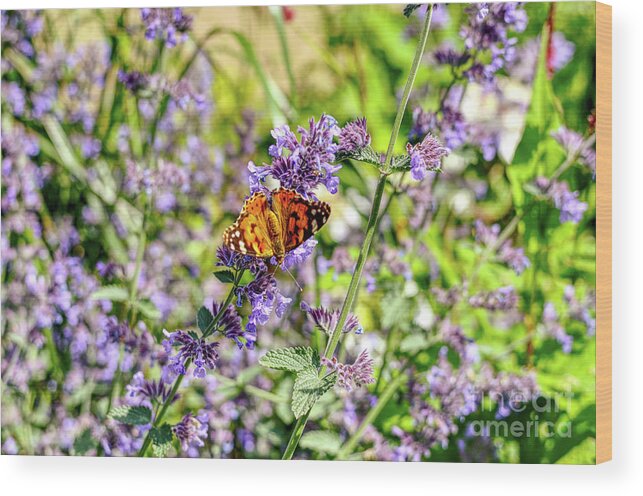 Butterfly Wood Print featuring the photograph Butterfly on waste ground Manchester UK by Pics By Tony