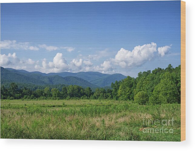 Tennessee Wood Print featuring the photograph Cades Cove Landscape 3 by Phil Perkins