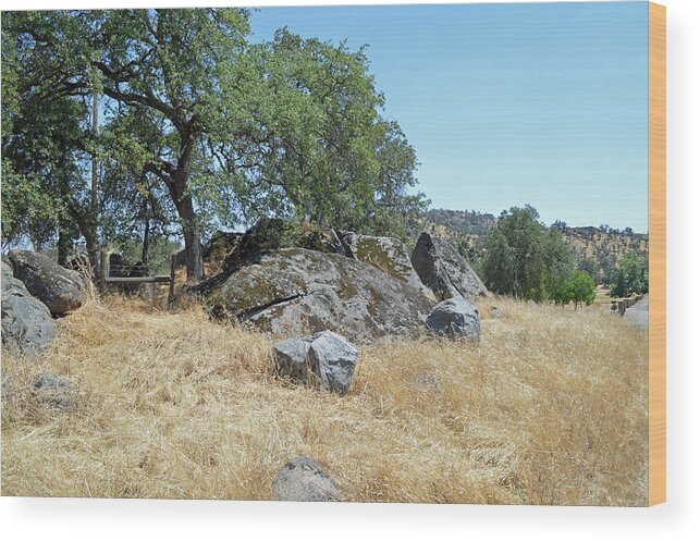 Rock Wood Print featuring the photograph California 168 Rocks by Eric Forster