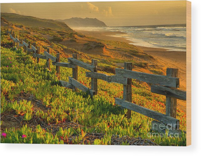 Point Reyes Wood Print featuring the photograph California Golden Coast by Adam Jewell