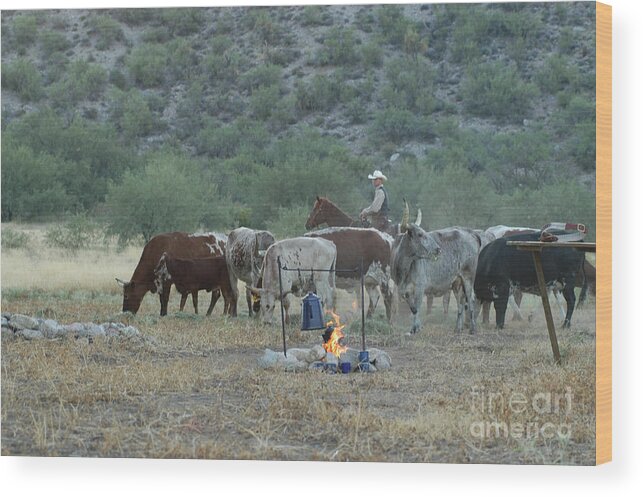 Western Wood Print featuring the photograph Campfire Cattle by Jody Miller