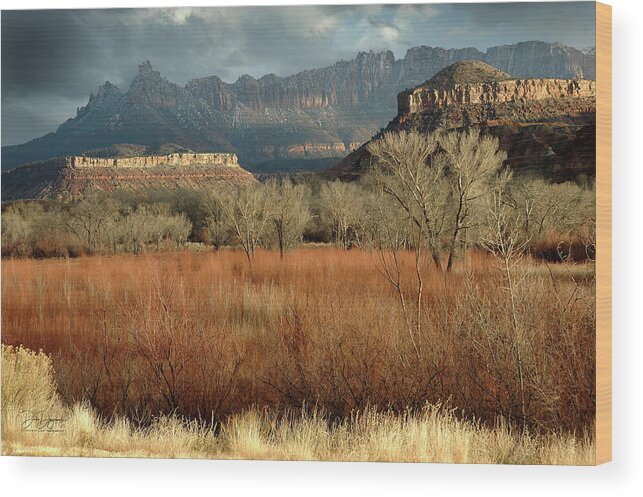 Canaan Wood Print featuring the photograph Canaan Mountains Zion National Park by Dave Diegelman