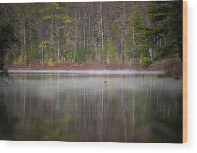 Nature Wood Print featuring the photograph Canada Goose on a Misty Swift River Morning by William Dickman