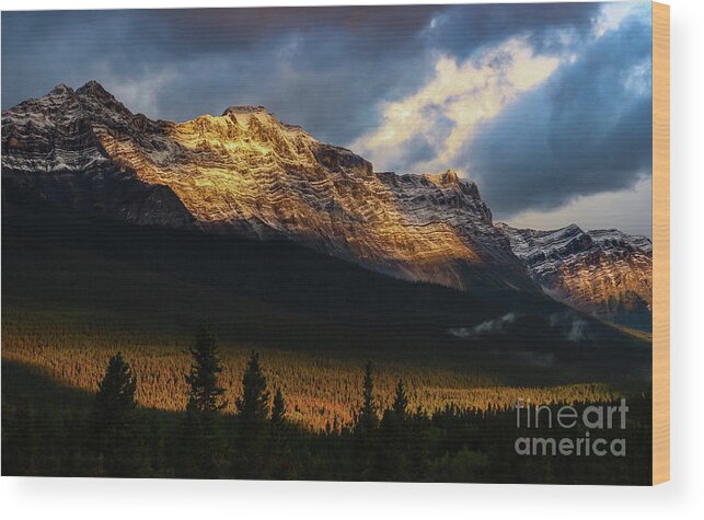 Landscape Wood Print featuring the photograph Canadian Gold by Seth Betterly
