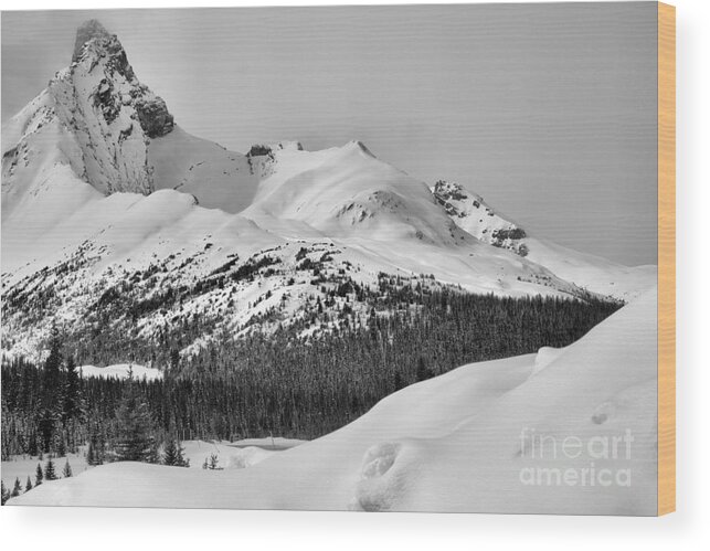 Canadian Wood Print featuring the photograph Canadian Rockies Winter Peak Black And White by Adam Jewell