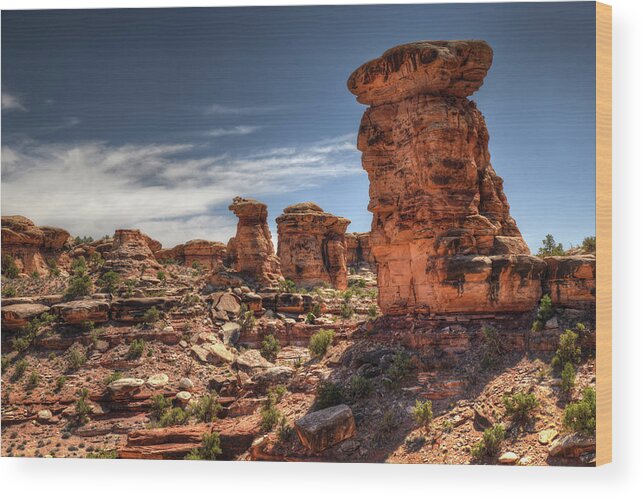 Canyonlands National Park Wood Print featuring the photograph Canyonlands-002 by Mark Langford