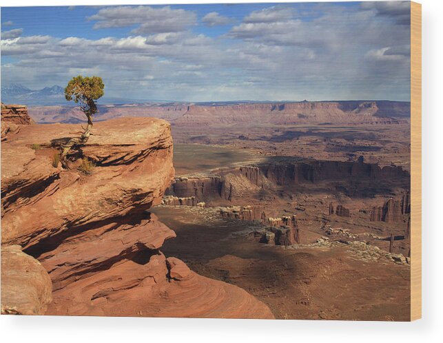 Canyonlands Wood Print featuring the photograph Canyonlands Vista at Grand View Point Overlook by Peter Herman