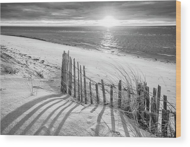 Cape Cod Beach Fence Wood Print featuring the photograph Cape Cod Beach Fence by Darius Aniunas