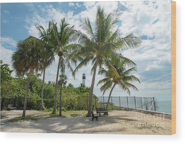 Cape Wood Print featuring the photograph Cape Florida Lighthouse and Palm Trees on Key Biscayne by Beachtown Views