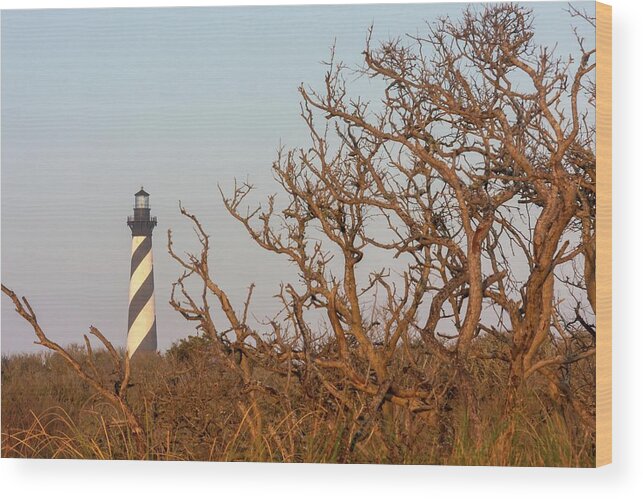 Architecture Wood Print featuring the photograph Cape Hatteras Lighthouse Through the Brush by Liza Eckardt