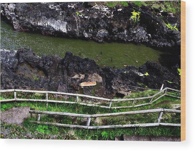 Oregon Wood Print featuring the photograph Cape Perpetua Path by Jerry Sodorff