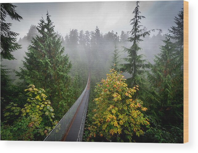 Tranquility Wood Print featuring the photograph Capilano suspension bridge over rainforest, Vancouver, British Colombia, Canada by Richard Thrasher