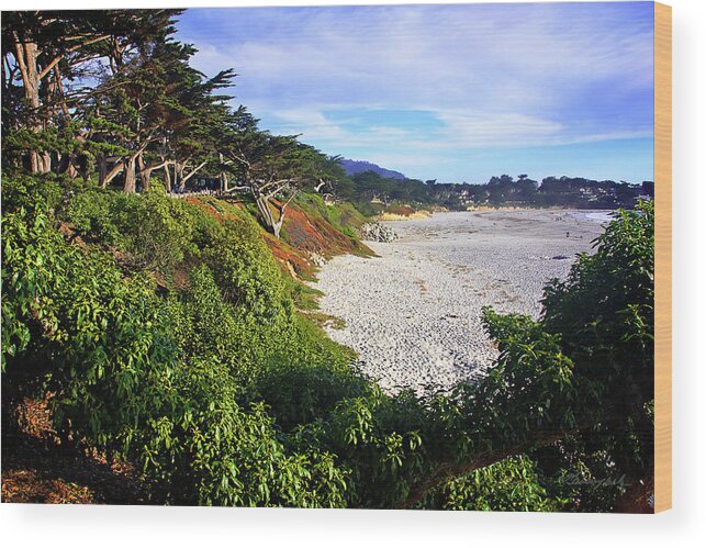 Color Wood Print featuring the photograph Carmel Beach by Alan Hausenflock