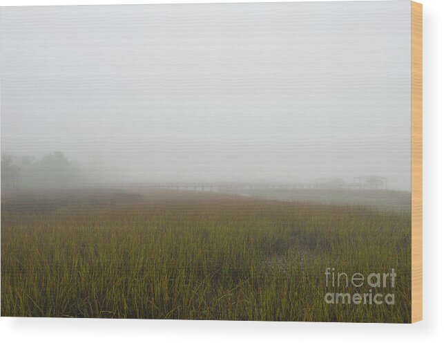 Fog Wood Print featuring the photograph Carolina Rain and Fog by Dale Powell