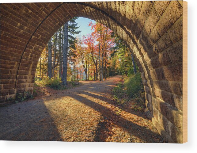 Carriage Road Wood Print featuring the photograph Carriage Road a4570 by Greg Hartford