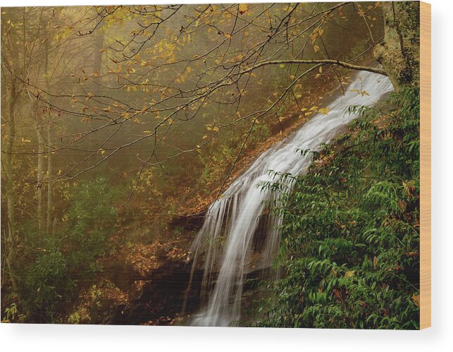Nature Wood Print featuring the photograph Cascade Falls by Cindy Robinson