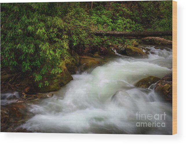 Cascade Wood Print featuring the photograph Cascade in the Blue Ridge Mountains by Shelia Hunt