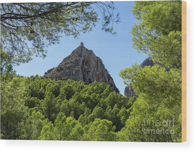 Mountain Landscape Wood Print featuring the photograph Castellet de Calp and pine forest by Adriana Mueller