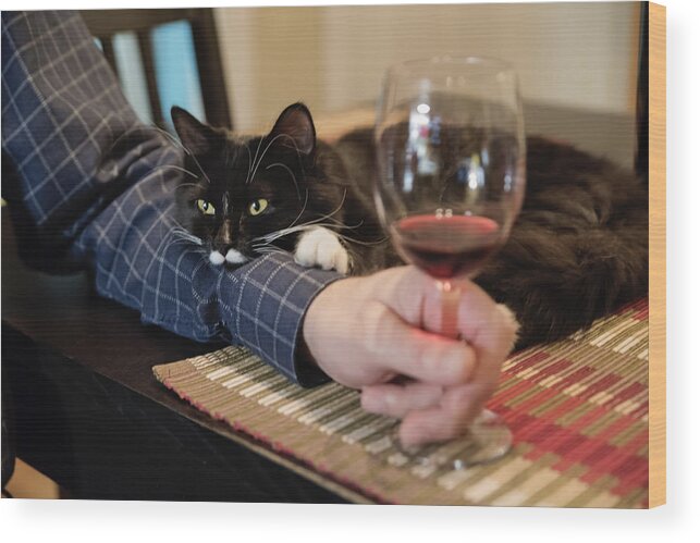 Pets Wood Print featuring the photograph Cat participation at happy hour. by Martinedoucet